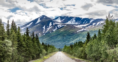 a railroad track with green forest trees surrounding that lead to the mountains of denali national park in alaska