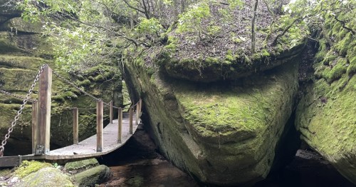 A suspension bridge leads to Dismals Canyon in Alabama.