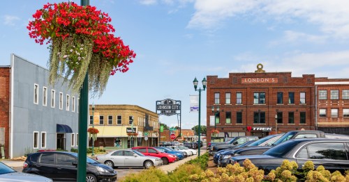 Downtown Johnson City, Tennessee on a beautiful day with vibrant pink flowers hanging from the light poles.