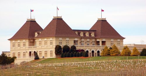 Chateau Elan Winery and Resort in Georgia