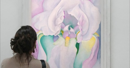 A visitor explores the vivid floral work of Georgia O’Keeffe, the "Mother of American Modernism," who was born in Sun Prairie, Wisconsin.