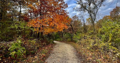 A dirt trail winds past colorful fall foliage beneath a blue sky.