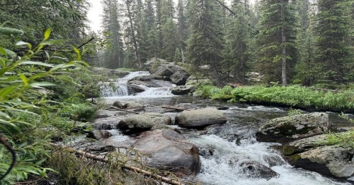 water flowing through rocks nearby forest trees