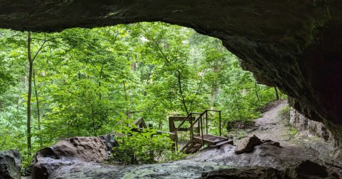 The view from inside of a cave trail in Missouri looking out toward the forest.
