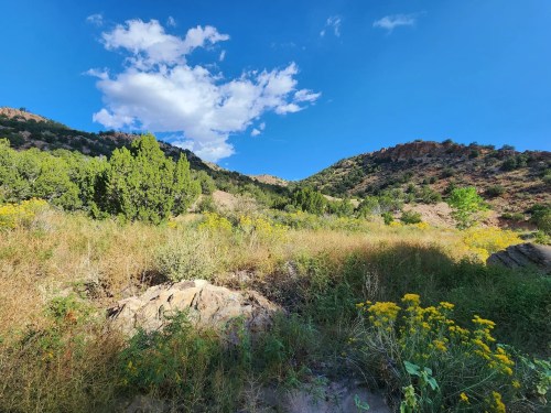 a grassy part of the redemption trail with flowers along the side and a partly cloudy blue sky above