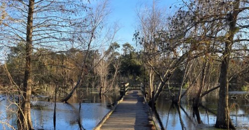 A scenic hike in Louisiana at the Bayou Sauvage National Wildlife Refuge.