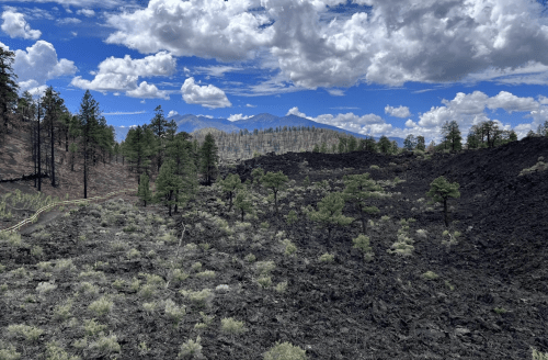 The Lava Flow Trail overlook scenery
