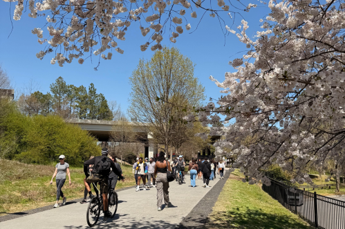 People walk and bike along an urban trail surrounded by spring foliage.