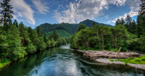 The wild Mckenzie River winds through the dense forests of Central Oregon on a summer day.
