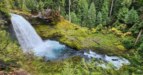 A waterfall plunges down a precipice into a pool at the heart of a lush Pacific Northwest forest.