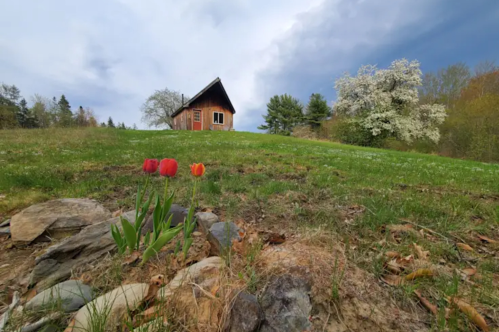 A view looking up the hill to the rustic Graham Cracker Cabin at the Graham Cracker Cabin and Campsites in Waltham, Maine.