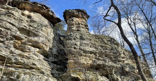 Sandstone bluffs in a forest