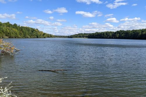 A lake with green trees in the background.