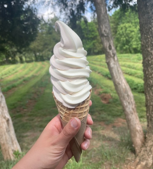 The photographer's hand is shown holding a waffle cone of ice cream, a swirl of a lighter flavor (cereal milk) and a darker flavor (strawberry). A field and trees are in the background.