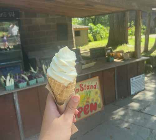 The photographer's hand holds a waffle cone of soft serve. In the background, there's a farmstand with berries for sale.