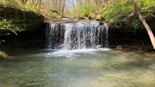 Waterfall flows into a pool of blue green water in the middle of the woods