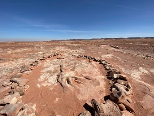 view of a dinosaur fossil surrounded by rocks at Navajo Moenave Dinosaur Tracks in Tuba City, AZ