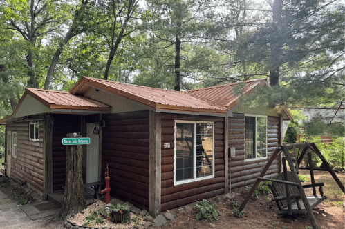 A small log cabin sits under tall green pine trees.