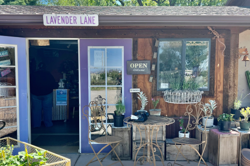 Sage Creations Farm