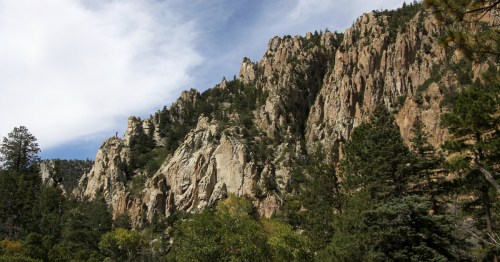 The towering rock formations of the Palisades Sill rise above a dense evergreen forest in Cimarron Canyon, New Mexico.