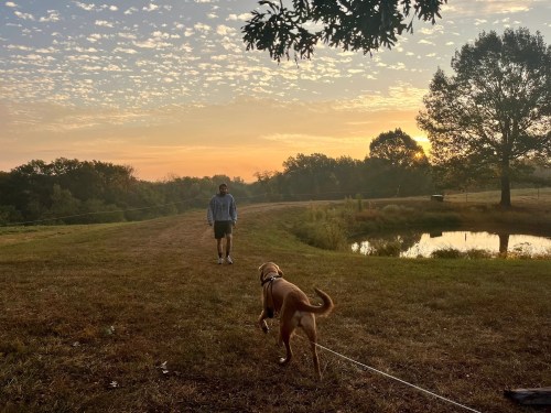 A man and a dog walk by a pond on farmland as the sun sets