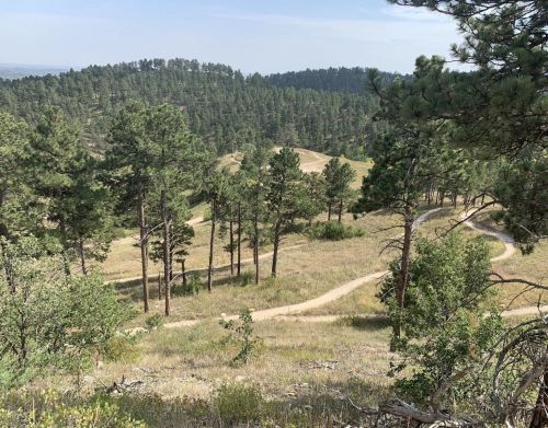 Paths winding through a forest and hills.