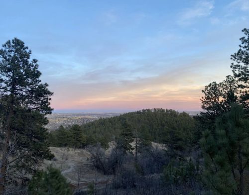 A panoramic view of hills and forests.