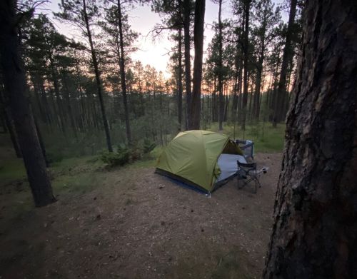 A green tent in the woods.