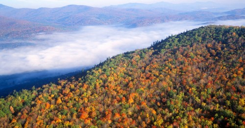 Autumn foliage in Vermont's Green Mountains with valley fog along Route 100.
