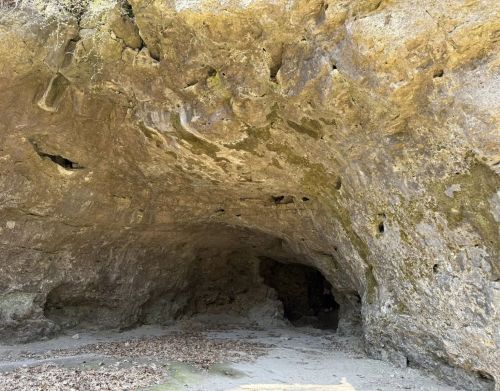 The mouth of a cave in a state park.