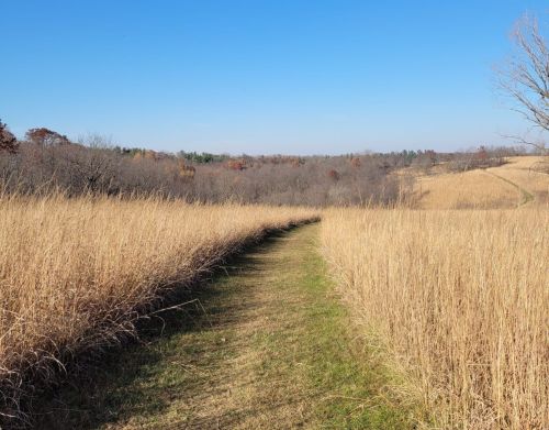 A grass path goes through a prairie.