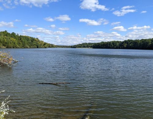 A lake with green trees in the background.