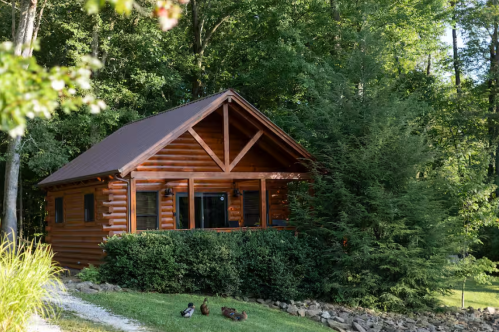 Wooden A-frame cabin in the woods with ducks in front in Kentucky