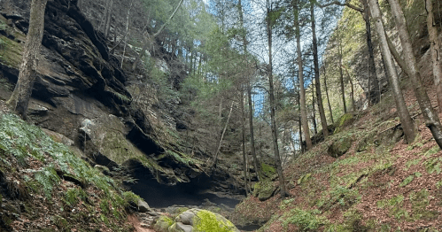 Towering sandstone cliffs and lush forest scenery along the Conkle’s Hollow Gorge Trail in Hocking Hills, Ohio.