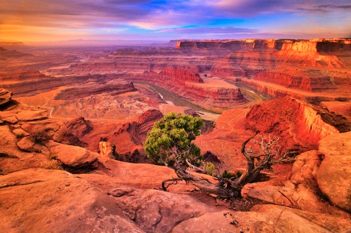 Views of the Colorado River from an overlook at Dead Horse Point State Park, featuring vast canyons and red rock cliffs under a clear blue sky