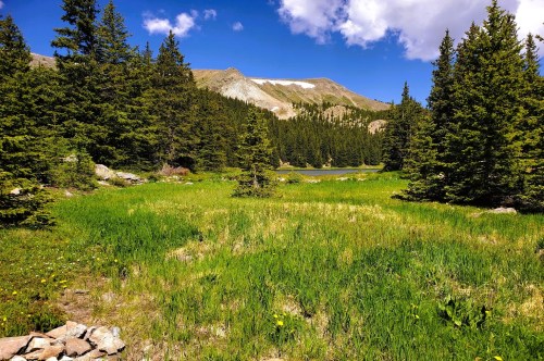 Views of a meadow leading to a lake inside a remote destination in New Mexico, with views of alpine trees and mountains in the distance.