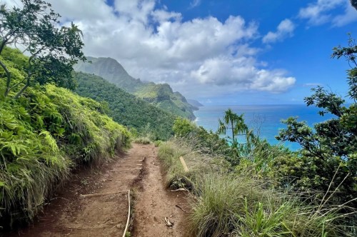 A red dirt trail is bordered by green plants with green cliffs and a turquoise ocean in the background.