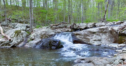 Waterfall swimming hole in New Jersey surrounded by forest and a plunge pool.
