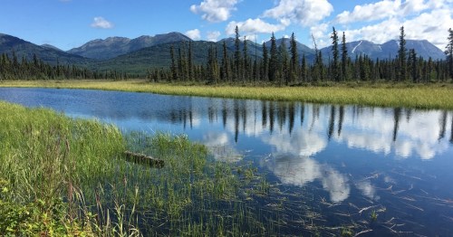 A wide stream flows timidy under the view of distant mountains in the Kenai National Wildlife Refuge.