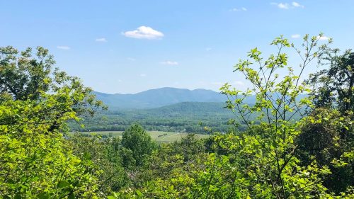 View of Blue Ridge Mountains as seen through an overlook at Mint Valley Springs Park in Crozet.