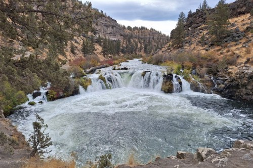 A wide waterfall pours into a deep basin below with hills of trees and brown grass surrounding it.