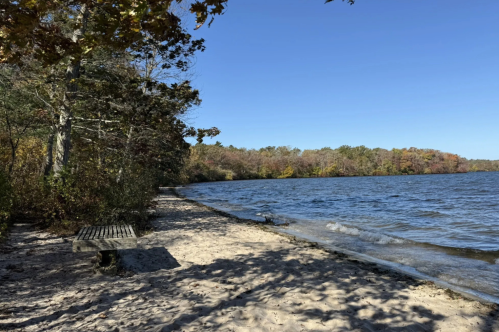 A pond within the Lowell Holly Reservation in Cape Cod, Massachusetts.