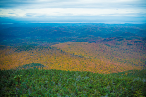 A view of layers of colorful trees within Camel's Hump Mountain in Vermont.