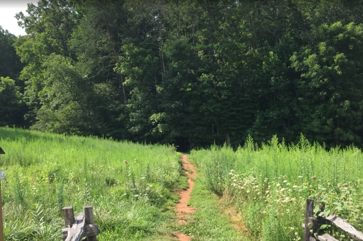 This Is the Quietest Part of Pilot Mountain State Park