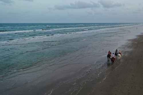 People ride horses on the beach