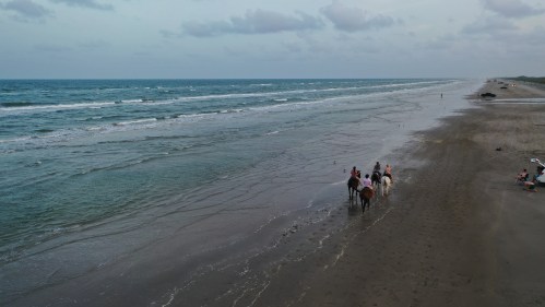 People ride horses on the beach