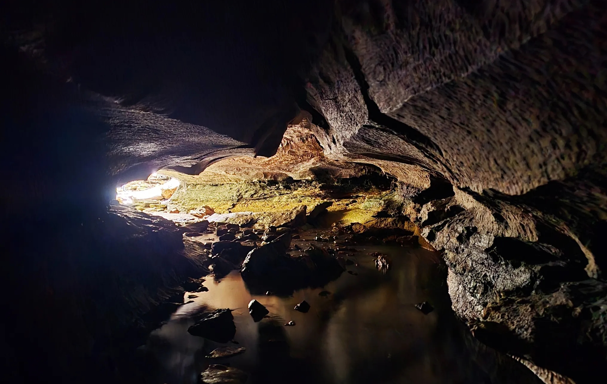 【nabe190様用】FUNERUS / Festering Earth Devil's Icebox Is Officially Missouri's Oddest Hiking Trail Name