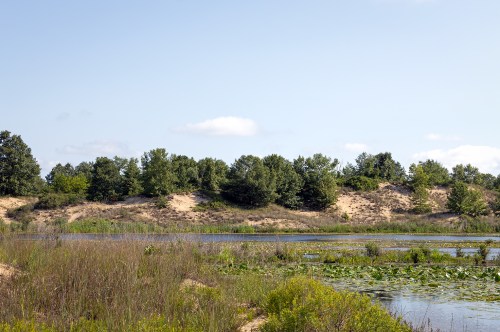 Wetland in Indiana Dunes National Park surrounded by sand dunes and prairie grasses