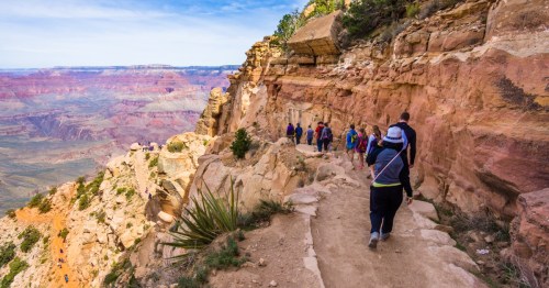 A view of Grand Canyon National Park from a hiking trail