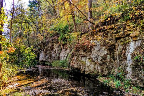 A limestone bluff covered by fall foliage